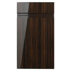 Kitchen Europe Gloss Zebrano Sample Door