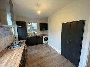 490081094 1257764189682911 816197542311842144 n