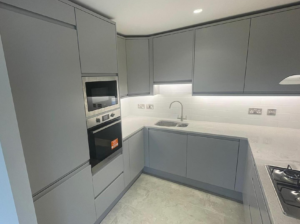 Arena Dust Grey Kitchen with Stellar White Quartz