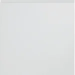 Arena Replacement Door